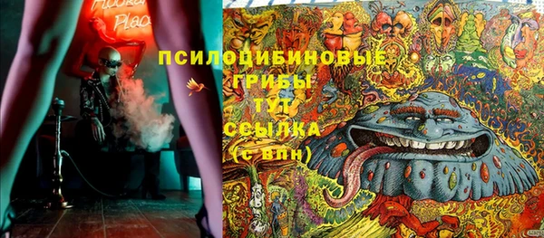 Альфа ПВП Армянск