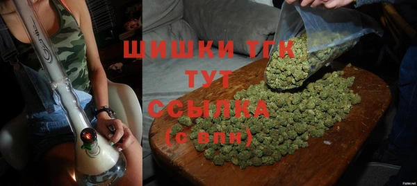 прущие грибы Новодвинск